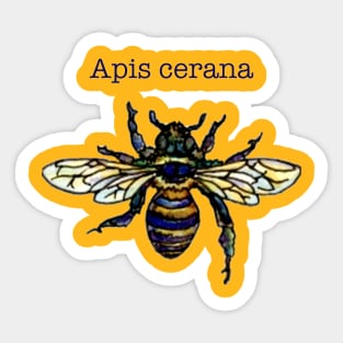 Eastern Honey Bee Sticker